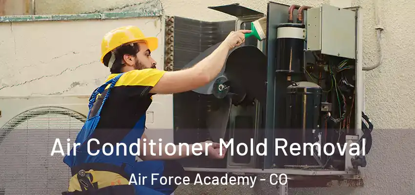 Air Conditioner Mold Removal Air Force Academy - CO