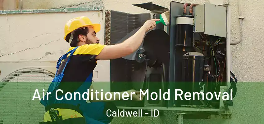  Air Conditioner Mold Removal Caldwell - ID