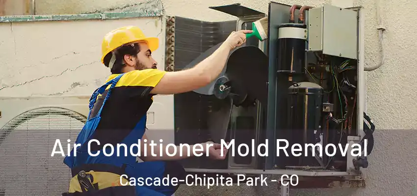  Air Conditioner Mold Removal Cascade-Chipita Park - CO