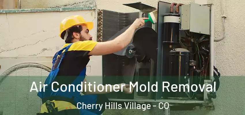  Air Conditioner Mold Removal Cherry Hills Village - CO