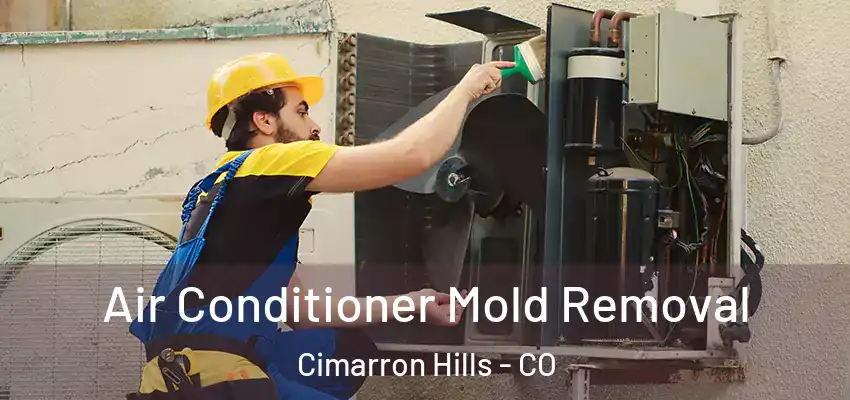 Air Conditioner Mold Removal Cimarron Hills - CO