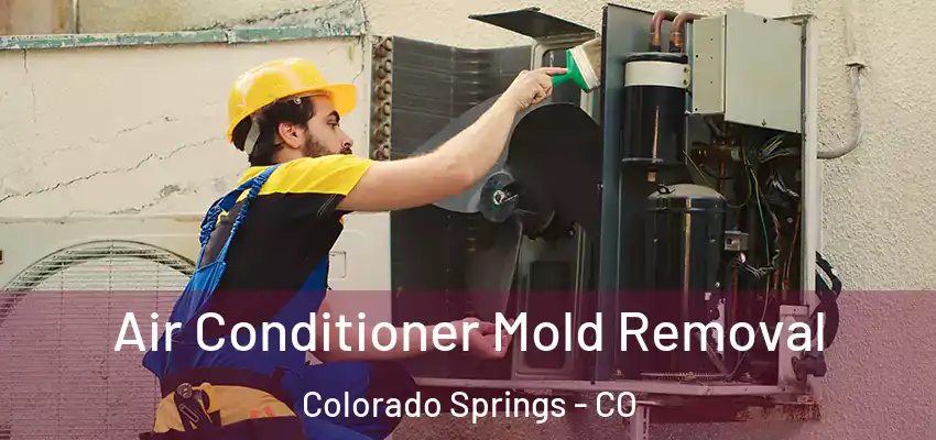  Air Conditioner Mold Removal Colorado Springs - CO