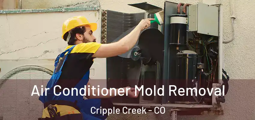  Air Conditioner Mold Removal Cripple Creek - CO