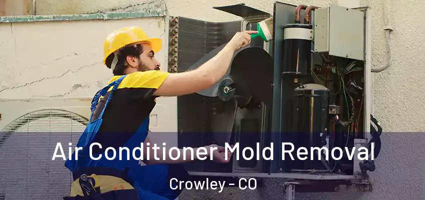  Air Conditioner Mold Removal Crowley - CO