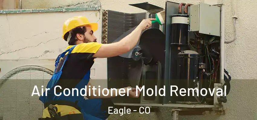  Air Conditioner Mold Removal Eagle - CO