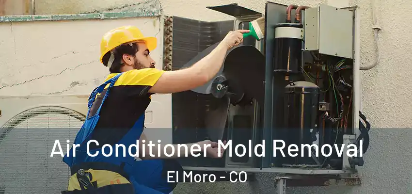  Air Conditioner Mold Removal El Moro - CO