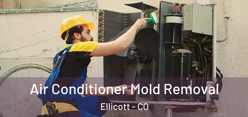  Air Conditioner Mold Removal Ellicott - CO