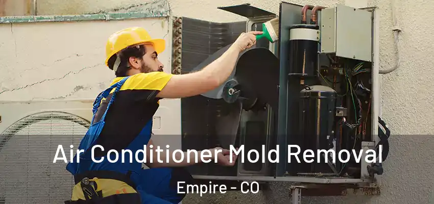  Air Conditioner Mold Removal Empire - CO