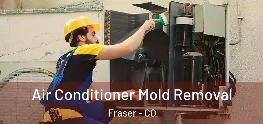 Air Conditioner Mold Removal Fraser - CO