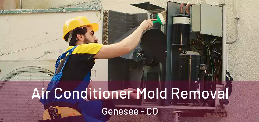  Air Conditioner Mold Removal Genesee - CO