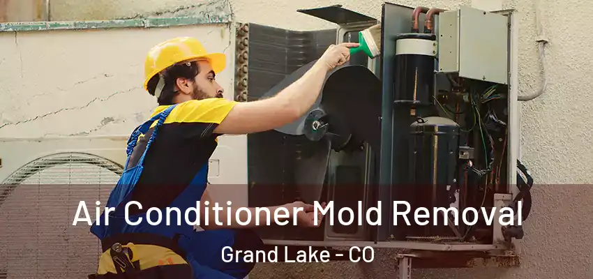 Air Conditioner Mold Removal Grand Lake - CO