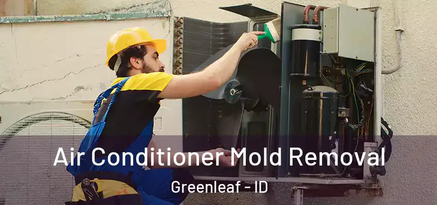  Air Conditioner Mold Removal Greenleaf - ID