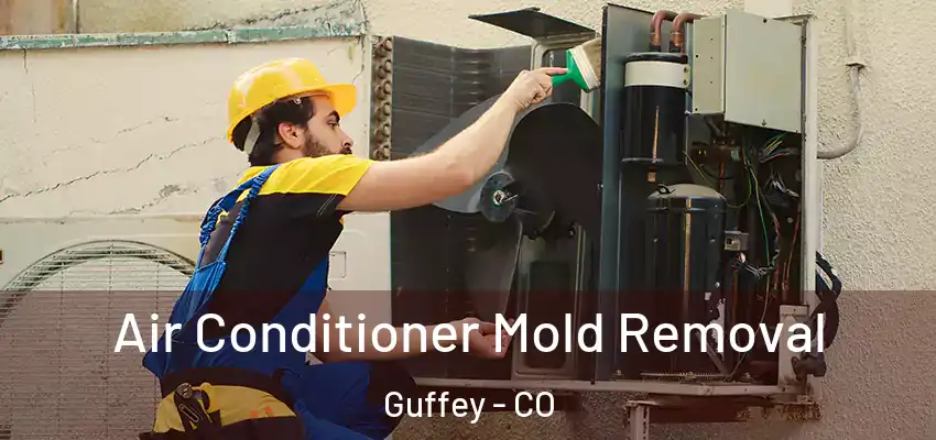  Air Conditioner Mold Removal Guffey - CO