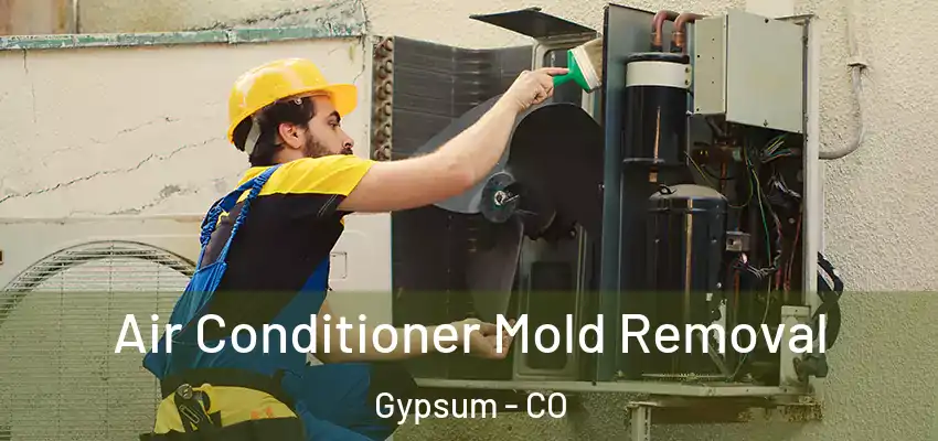 Air Conditioner Mold Removal Gypsum - CO