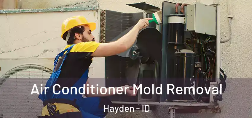  Air Conditioner Mold Removal Hayden - ID