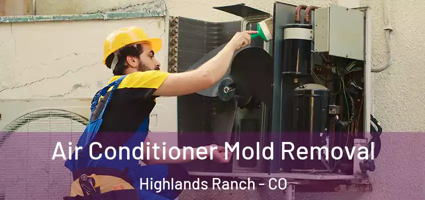  Air Conditioner Mold Removal Highlands Ranch - CO