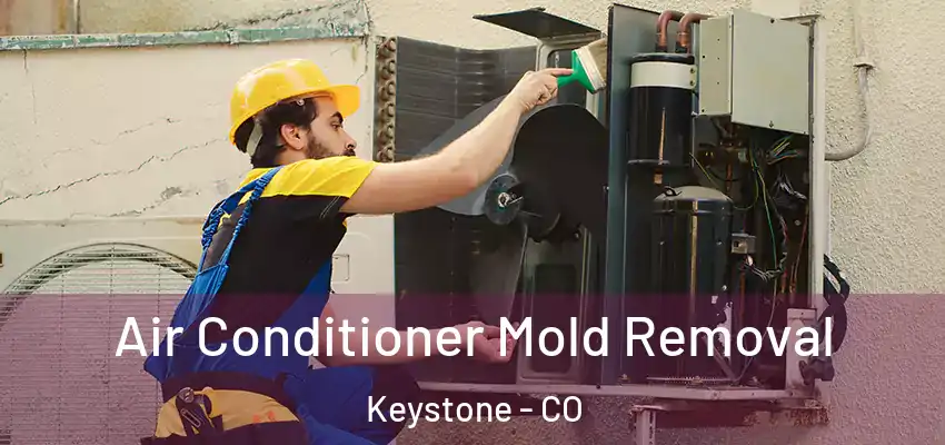  Air Conditioner Mold Removal Keystone - CO
