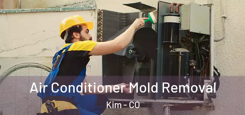  Air Conditioner Mold Removal Kim - CO