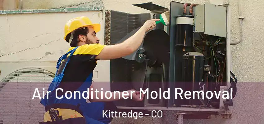  Air Conditioner Mold Removal Kittredge - CO