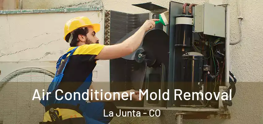  Air Conditioner Mold Removal La Junta - CO