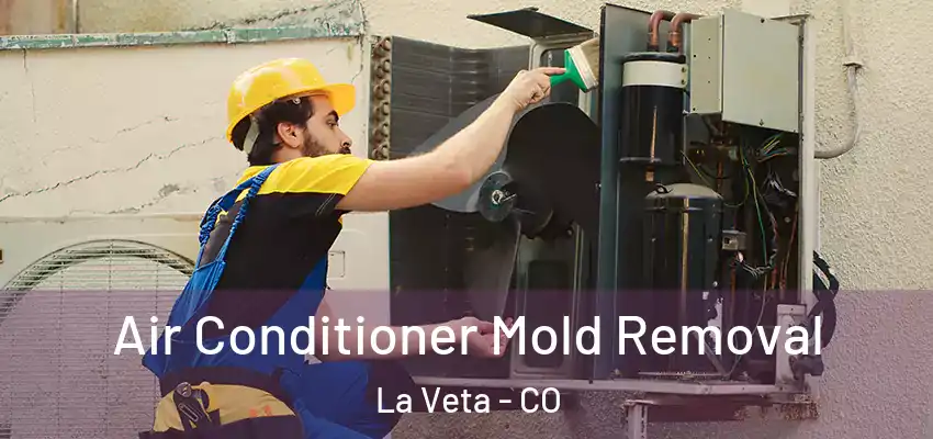  Air Conditioner Mold Removal La Veta - CO
