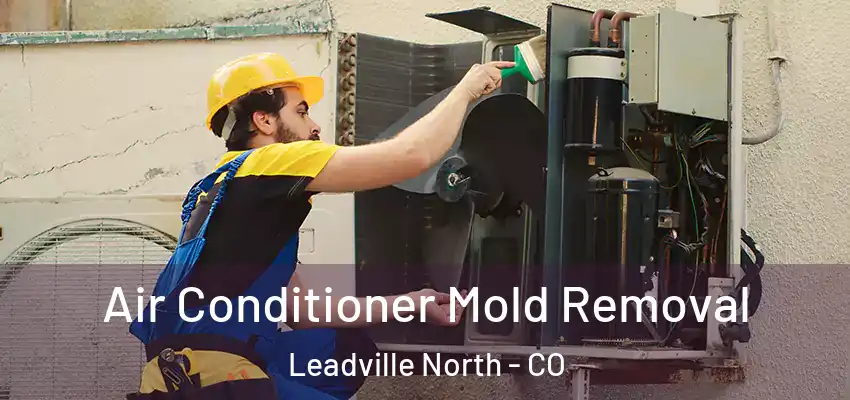  Air Conditioner Mold Removal Leadville North - CO
