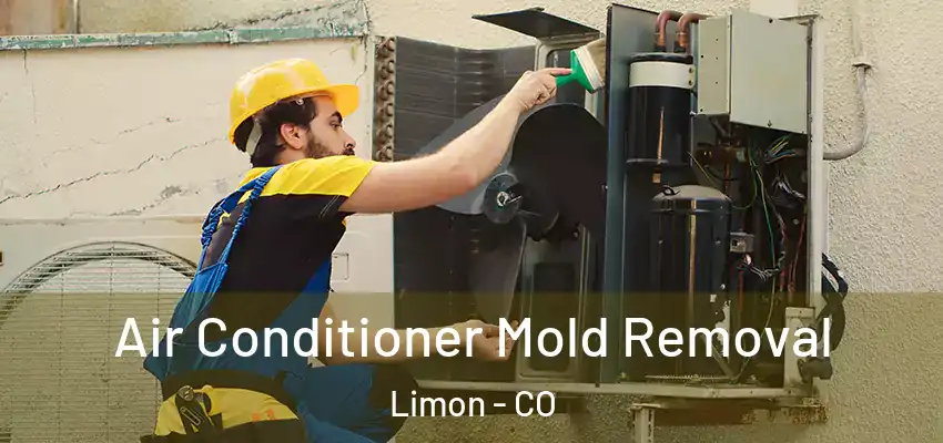  Air Conditioner Mold Removal Limon - CO