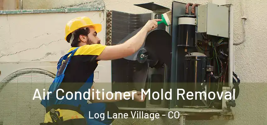 Air Conditioner Mold Removal Log Lane Village - CO