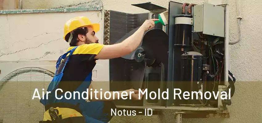 Air Conditioner Mold Removal Notus - ID