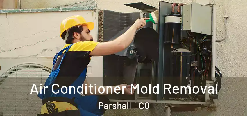  Air Conditioner Mold Removal Parshall - CO