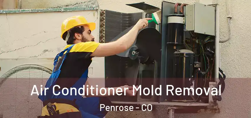 Air Conditioner Mold Removal Penrose - CO