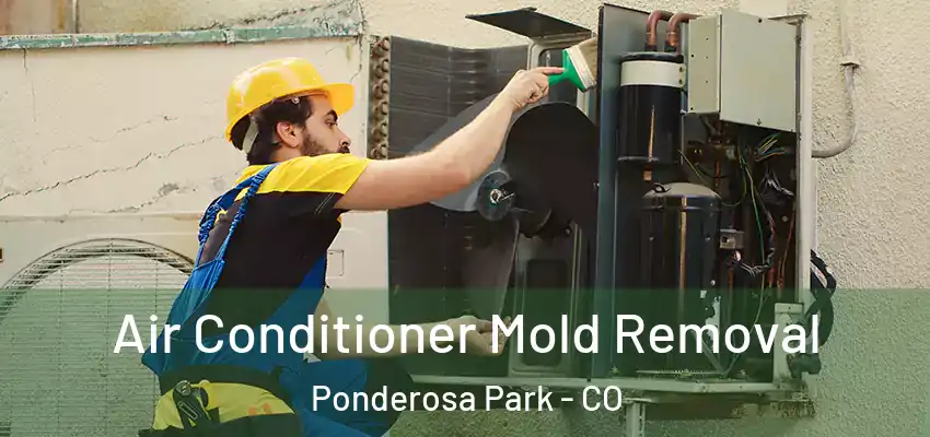  Air Conditioner Mold Removal Ponderosa Park - CO