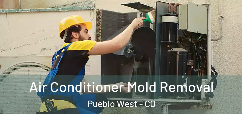  Air Conditioner Mold Removal Pueblo West - CO