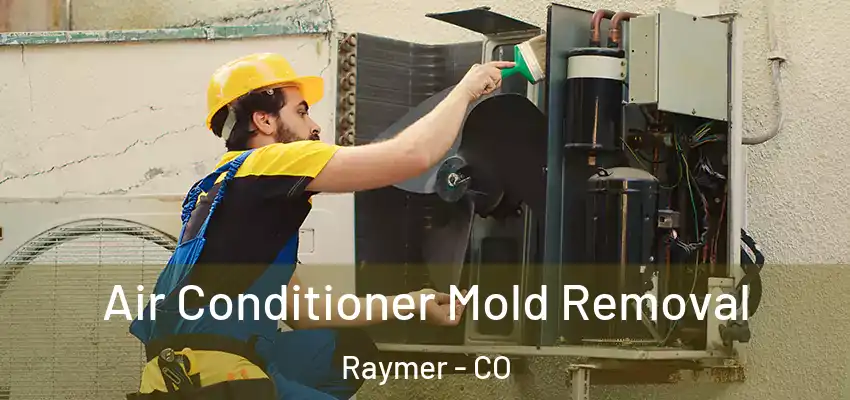  Air Conditioner Mold Removal Raymer - CO