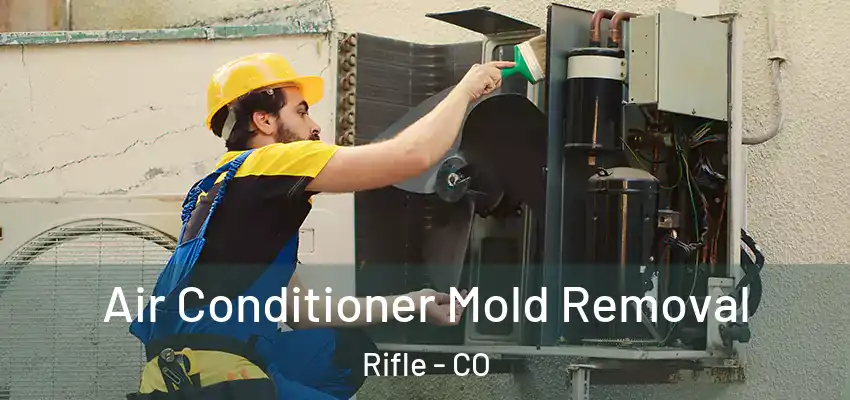  Air Conditioner Mold Removal Rifle - CO