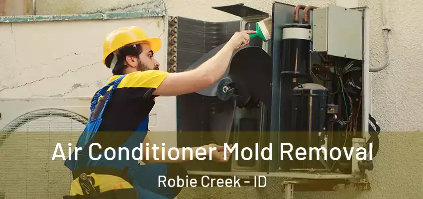 Air Conditioner Mold Removal Robie Creek - ID
