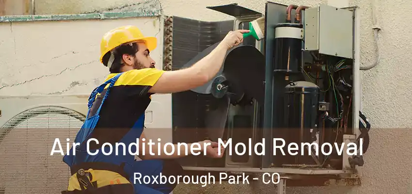 Air Conditioner Mold Removal Roxborough Park - CO