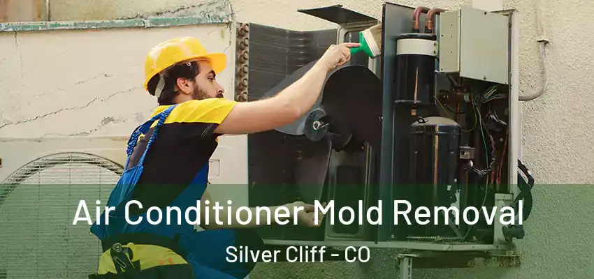  Air Conditioner Mold Removal Silver Cliff - CO