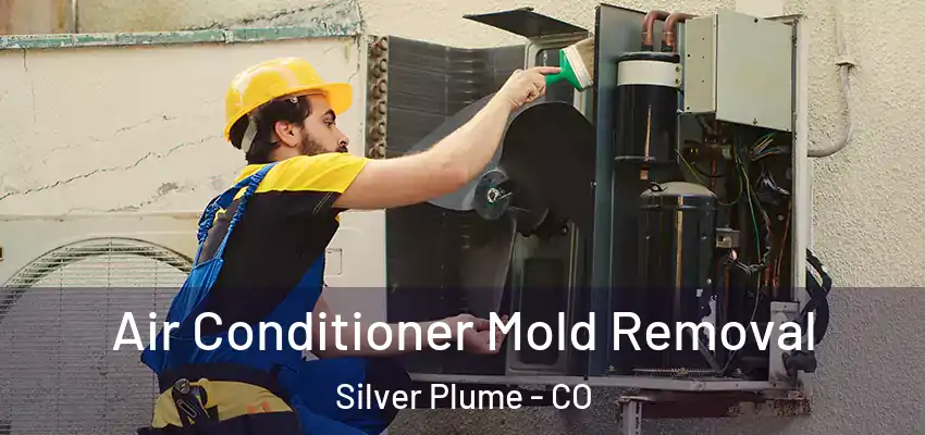  Air Conditioner Mold Removal Silver Plume - CO