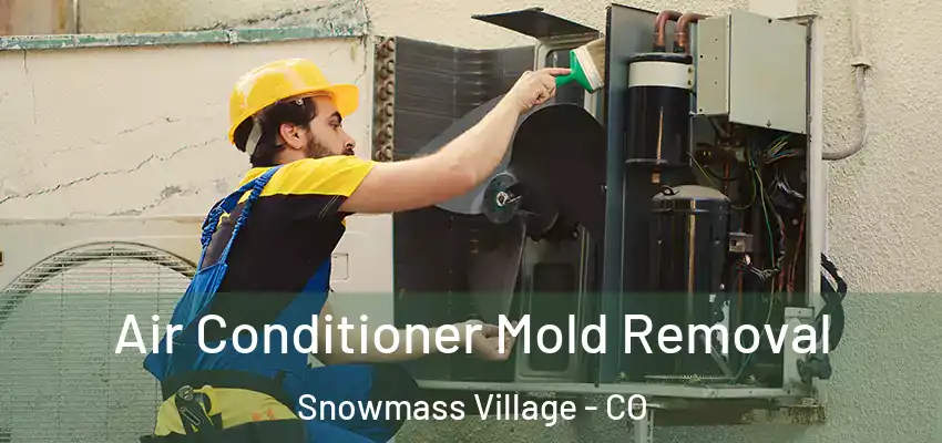  Air Conditioner Mold Removal Snowmass Village - CO