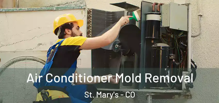  Air Conditioner Mold Removal St. Mary's - CO