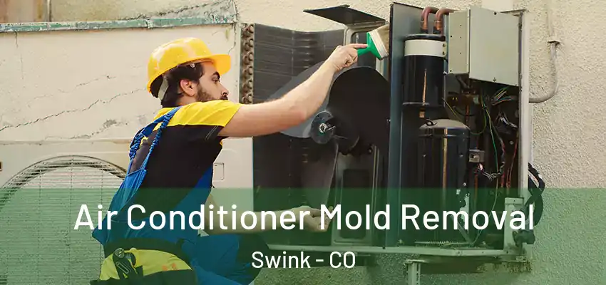  Air Conditioner Mold Removal Swink - CO