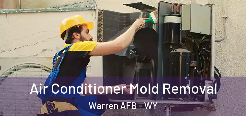  Air Conditioner Mold Removal Warren AFB - WY