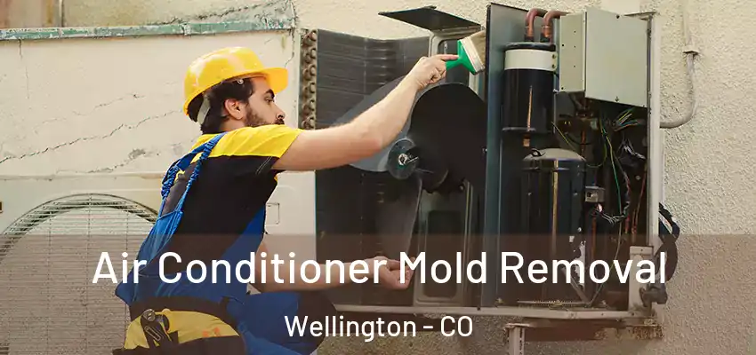  Air Conditioner Mold Removal Wellington - CO