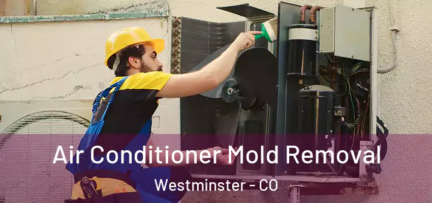  Air Conditioner Mold Removal Westminster - CO