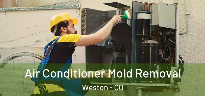  Air Conditioner Mold Removal Weston - CO