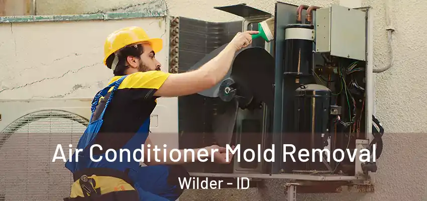  Air Conditioner Mold Removal Wilder - ID