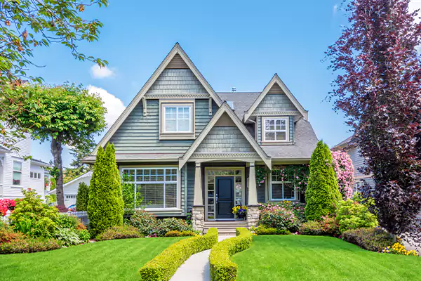 Black Mold Clean Up in Lafayette, CO