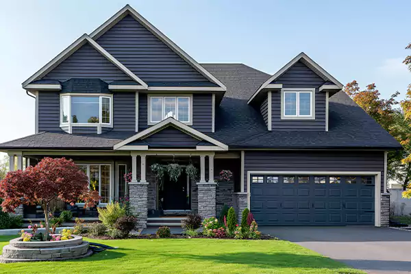 Mold Cleanup in Parker, CO