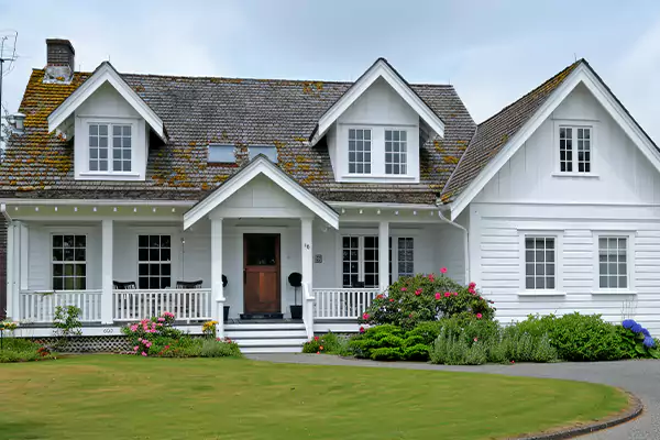 Mold Removal Services in Loveland, CO